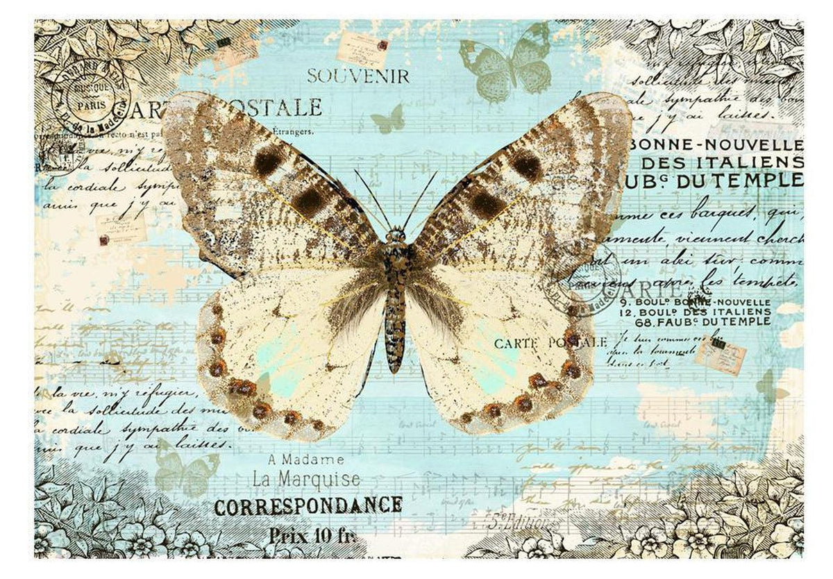 Animal Wallpaper Wall Mural - Butterfly Postcard – Tiptophomedecor