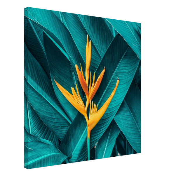 009bd9ec-f975-4dae-a911-852550a30bc7