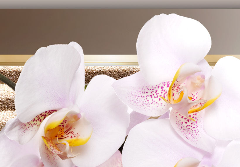 Stretched Canvas Floral Art - Orchid And Zen Garden