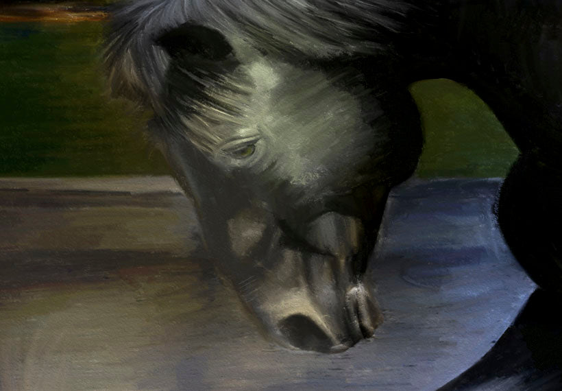 Stretched Canvas Animal Art - Black Horse On The Background Of Paradise Waterfall