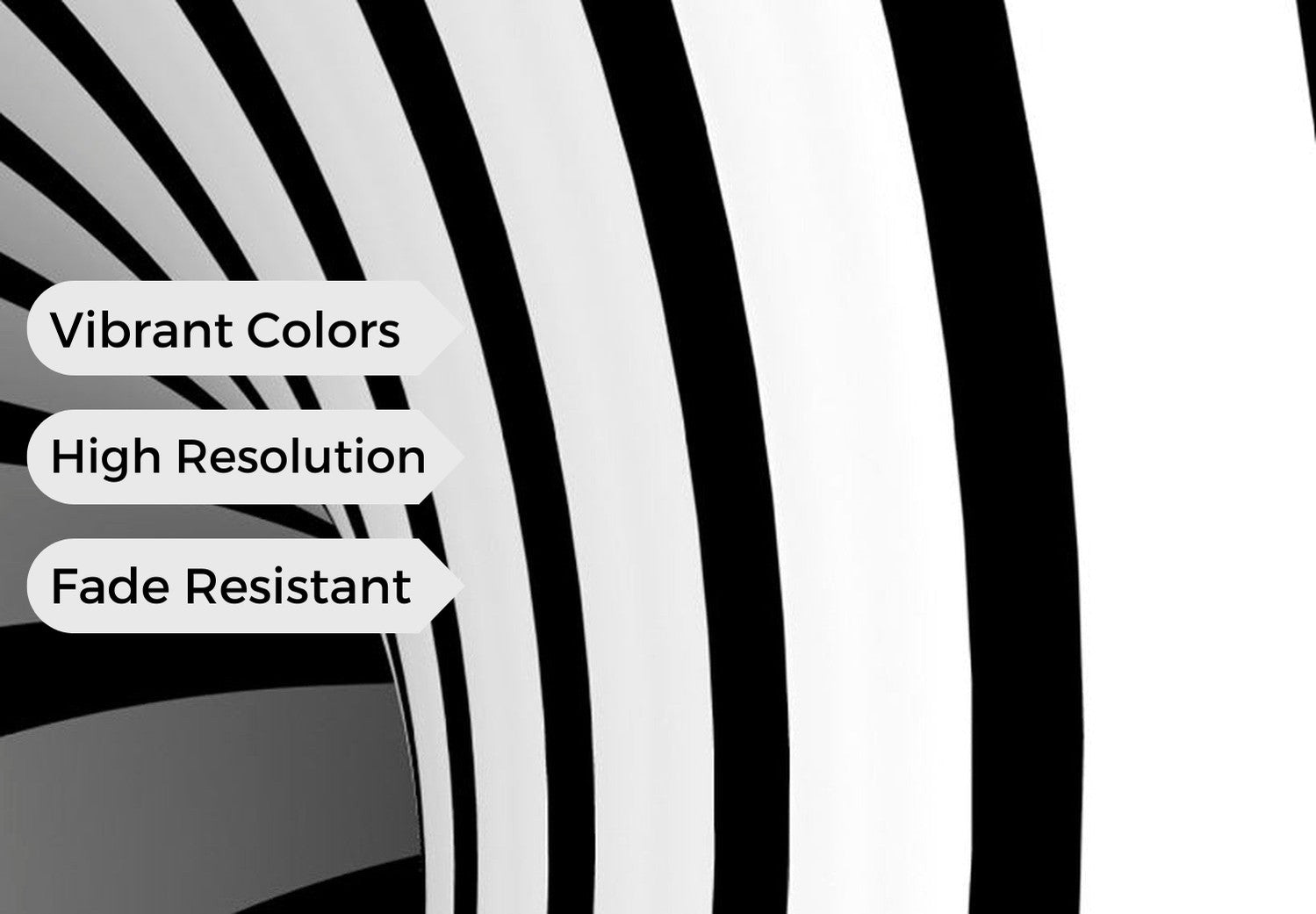 Abstract Canvas Wall Art - A Black & White Hole
