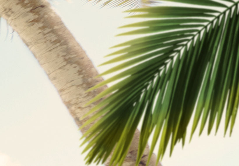 Stretched Canvas Landscape Art - Under Palm Trees