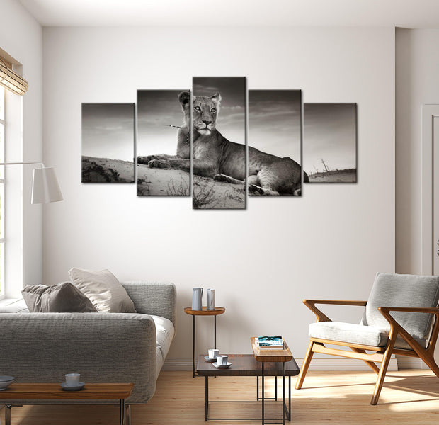 Animal Canvas Wall Art - Lioness In A Desert - 5 Pieces