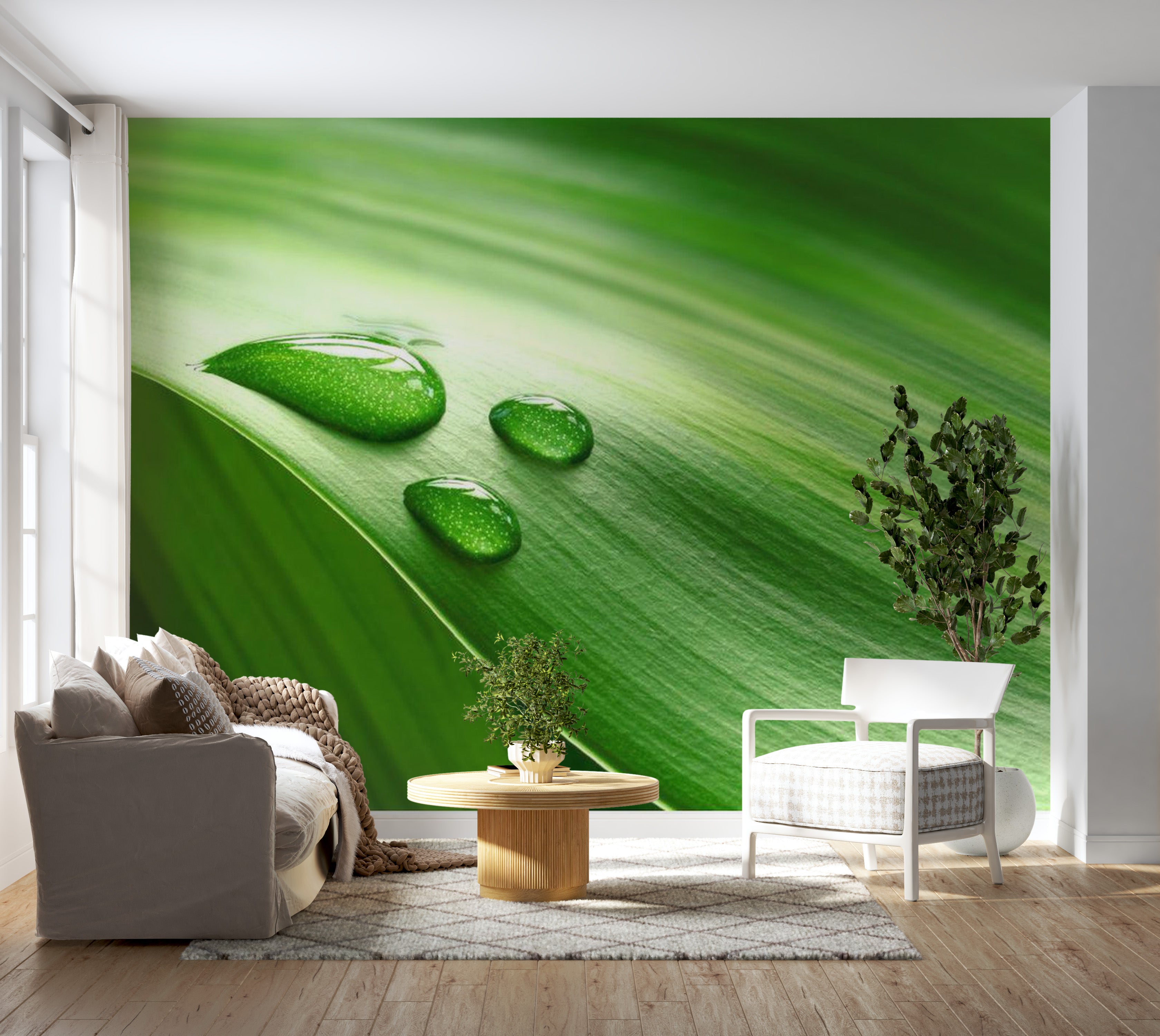 Abstract Wallpaper Wall Mural - Leaf And Three Drops Of Water 118"Wx90"H