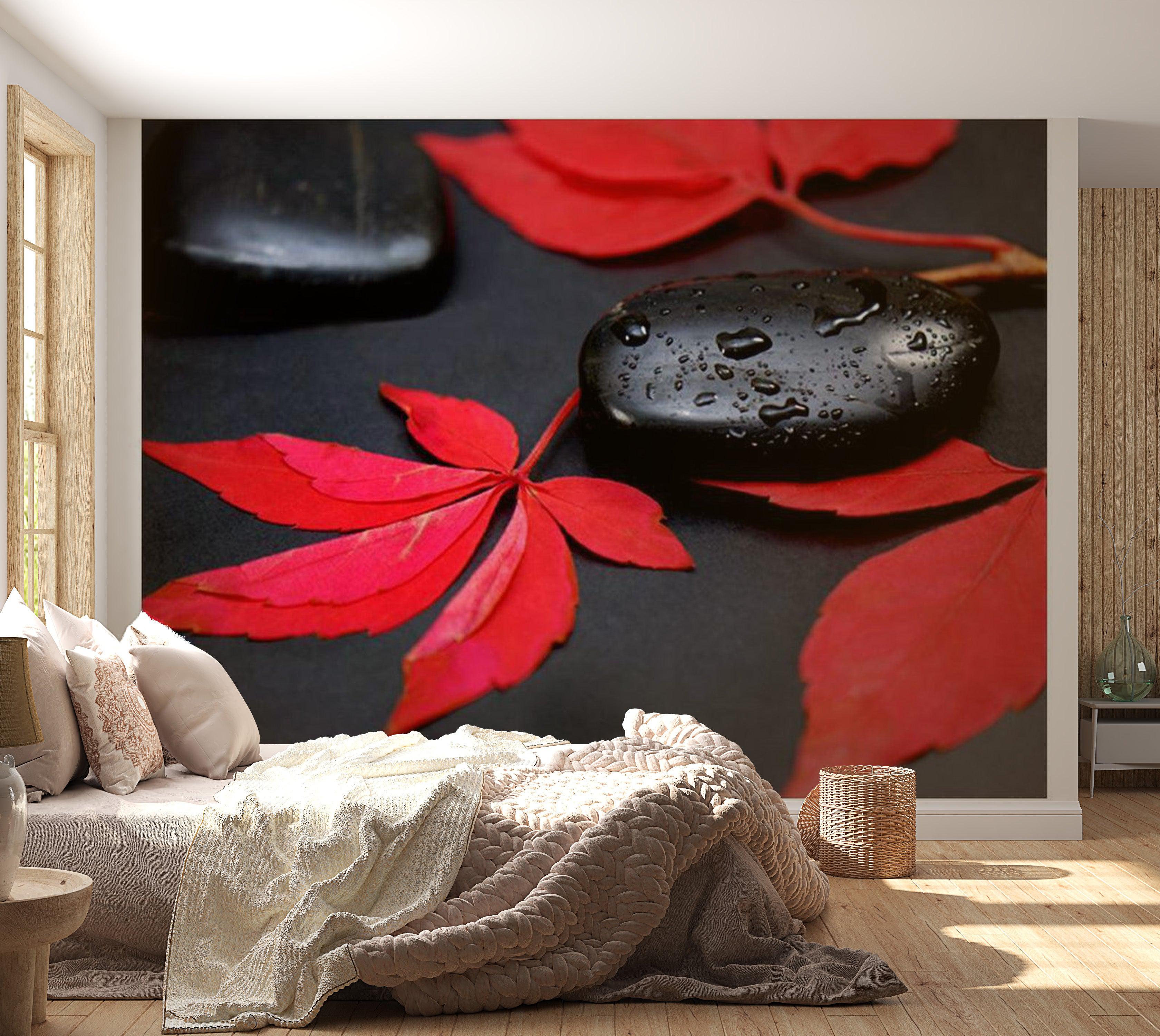 Zen Wallpaper Wall Mural - Intensity Of Red