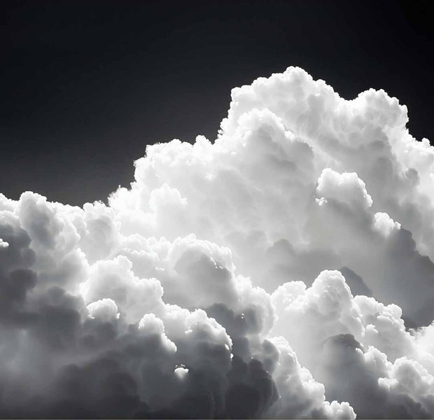 Peel & Stick Landscape Wall Mural - Endless Play of Sunlight 38"Wx27"H