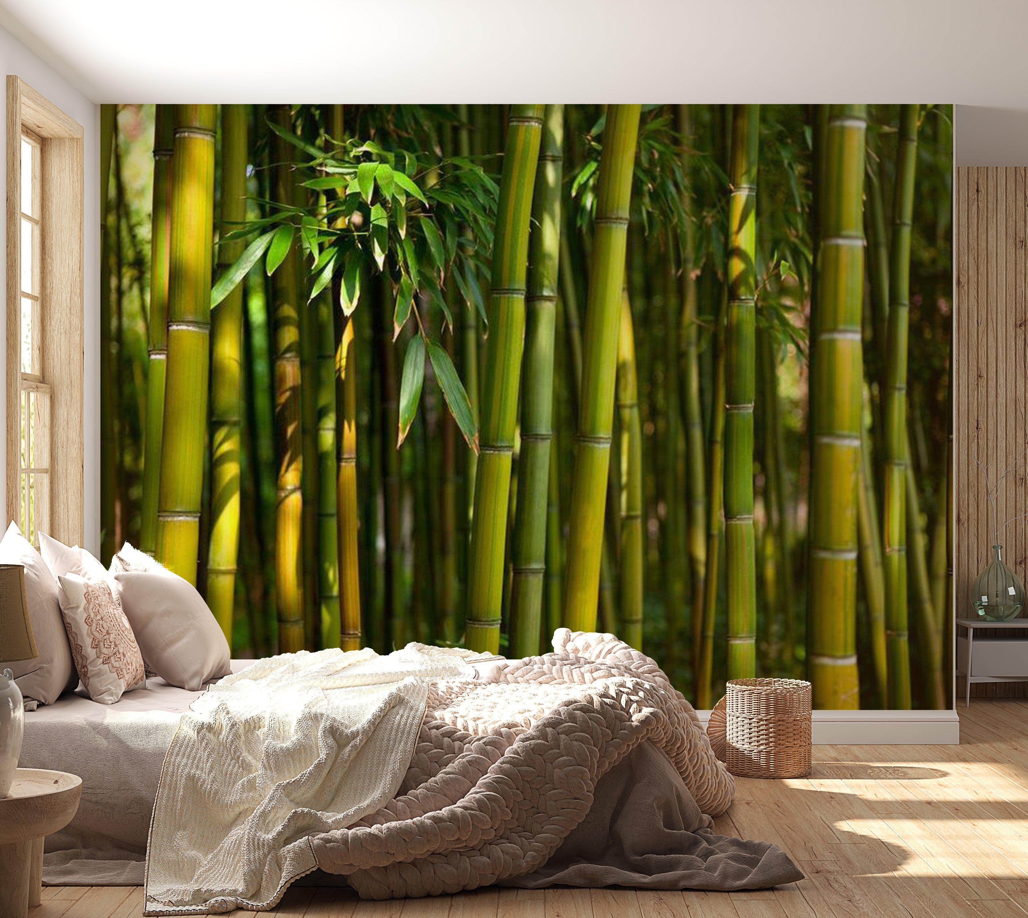 Zen Wallpaper Wall Mural - Asian Bamboo Forest