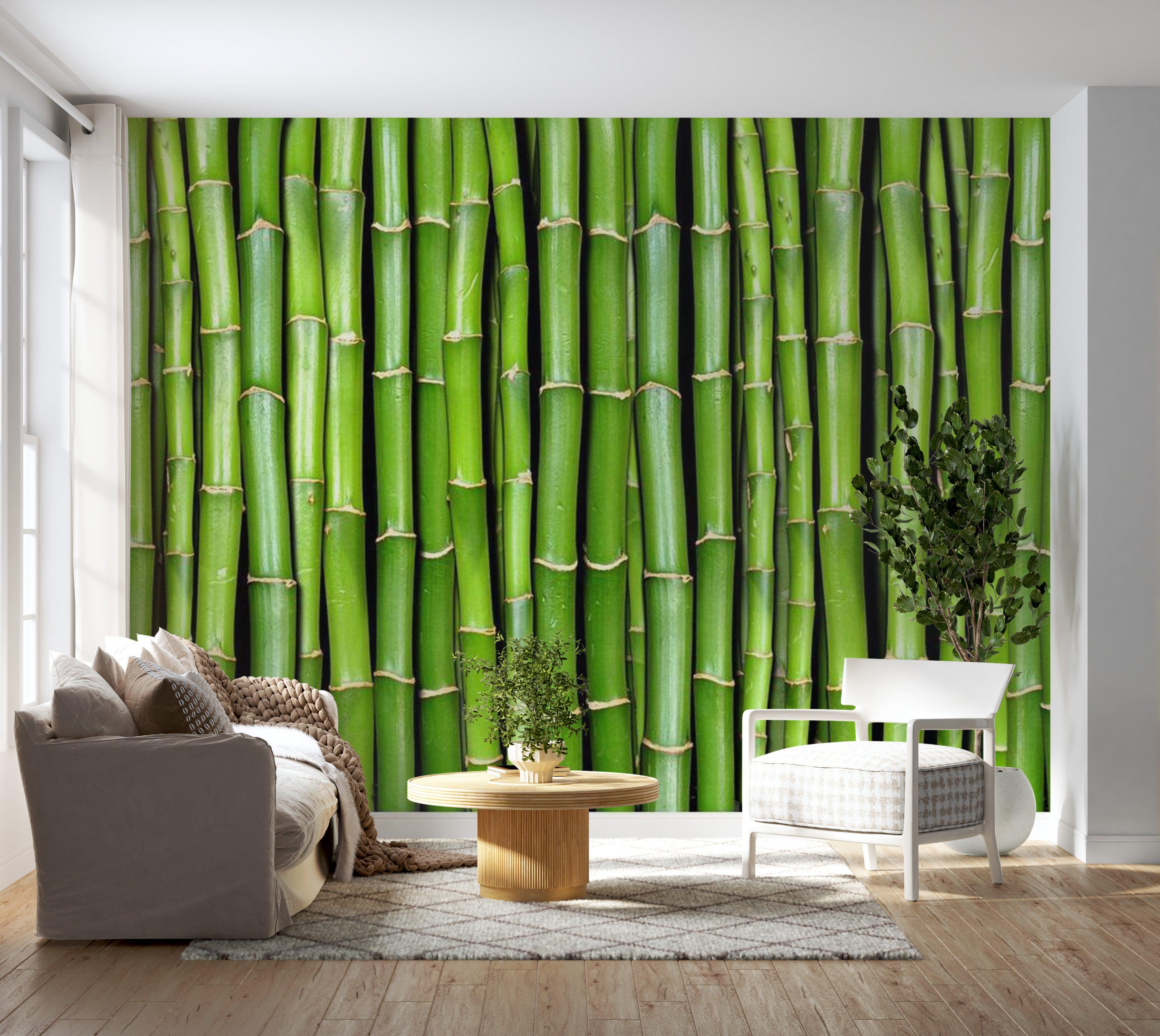 Zen Wallpaper Wall Mural - Bamboo Wall