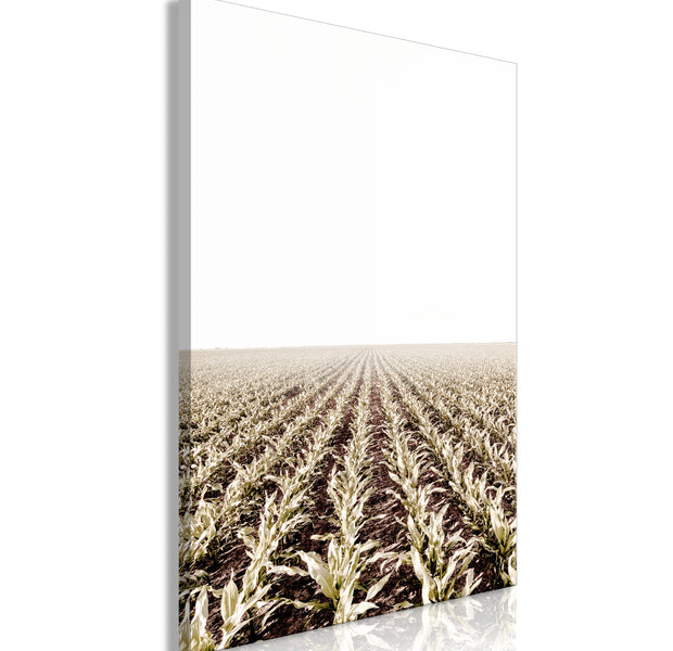 Landscape Canvas Wall Art - Corn Field