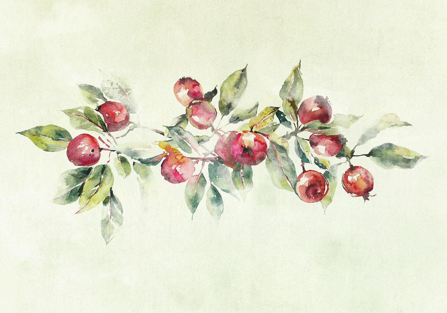 Botanical Wallpaper Wall Mural - Watercolor Apple Branch
