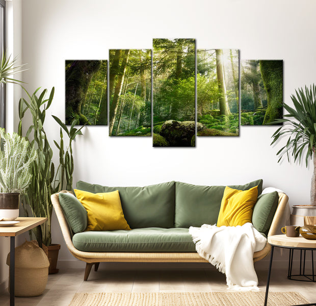 Stretched Canvas Landscape Art - The Beauty Of The Forest 40"Wx20"H