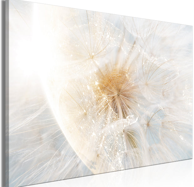 Floral Canvas Wall Art - Dandelion in the Sun