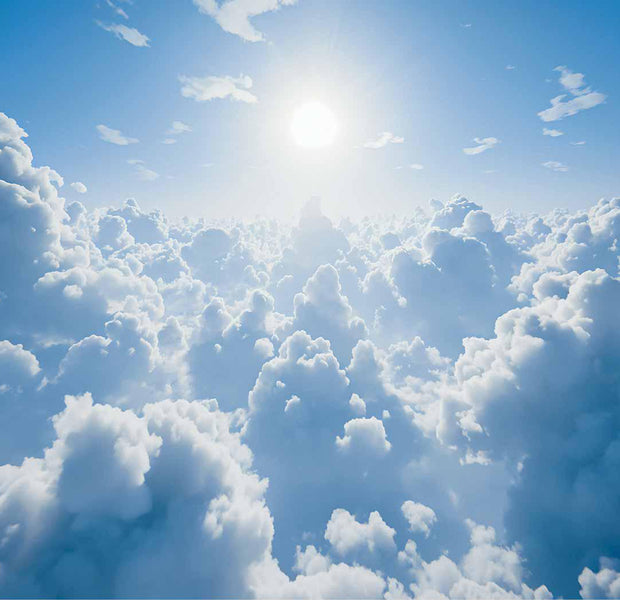 Peel & Stick Landscape Wall Mural - Warm Rays of Sunshine 38"Wx27"H