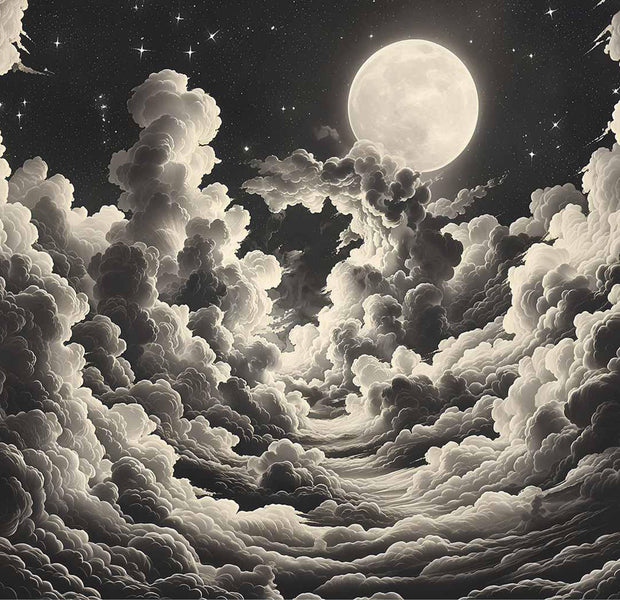 Peel & Stick Space Wall Mural - Moon and Stars at Night 38"Wx27"H