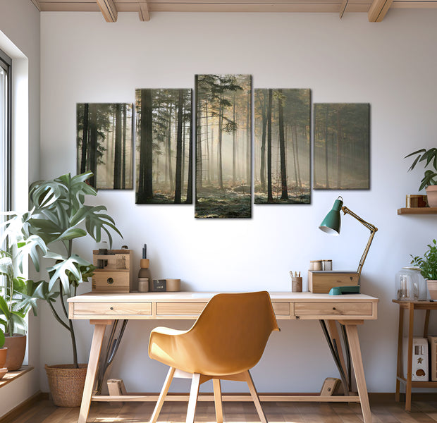 Stretched Canvas Landscape Art - Light In A Dark Forest 40"Wx20"H