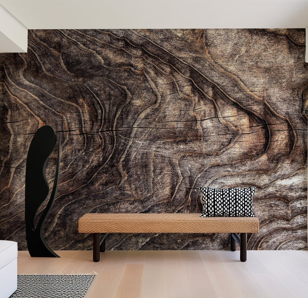 Peel & Stick Wall Mural - Wrinkled Old Tree 38"Wx27"H