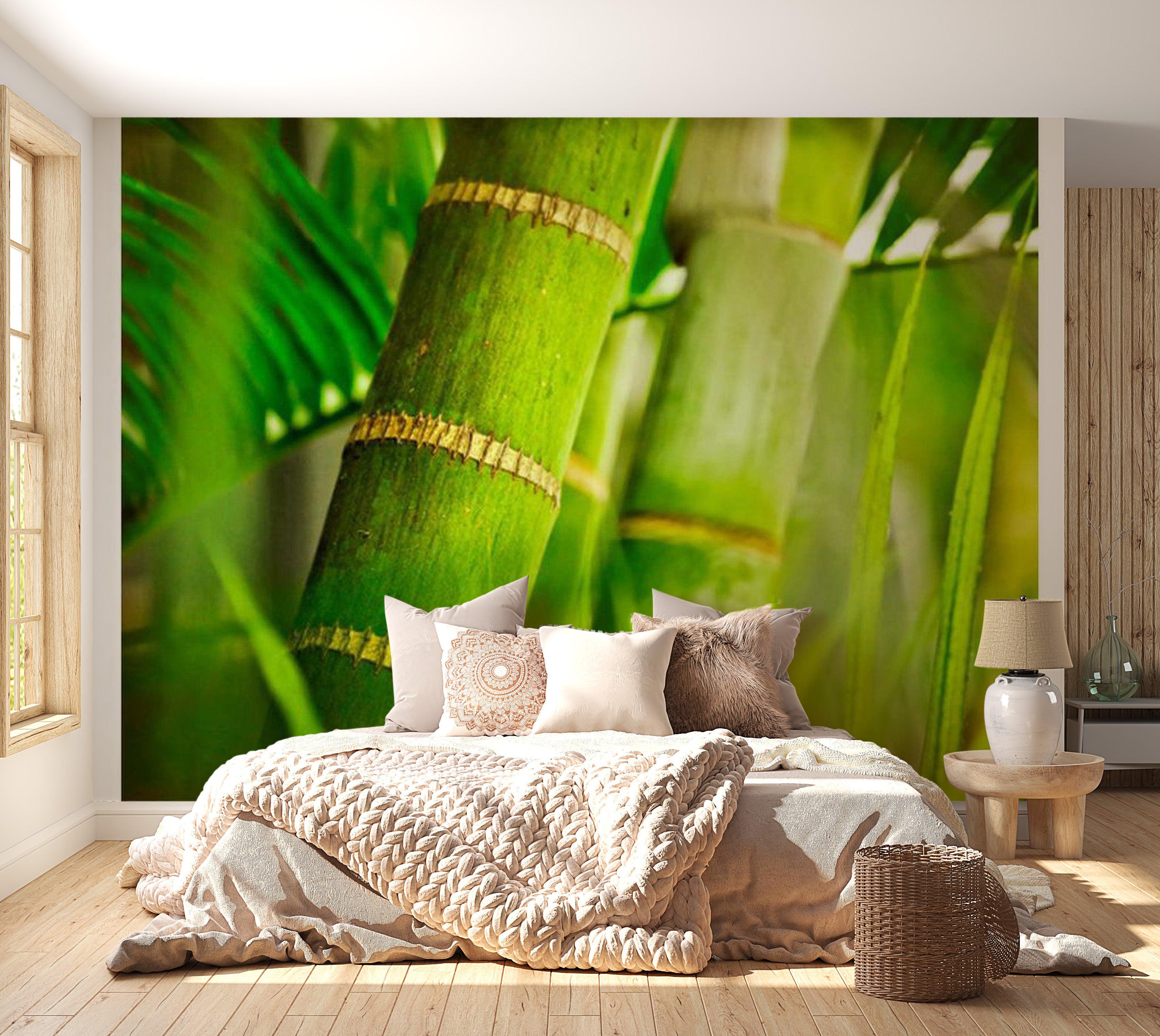 Zen Wallpaper Wall Mural - Bamboo Detail