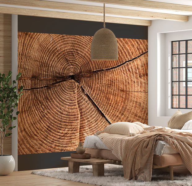 Background & Patterns Wallpaper Wall Mural - Tree Trunk Cross Section 118"Wx90"H