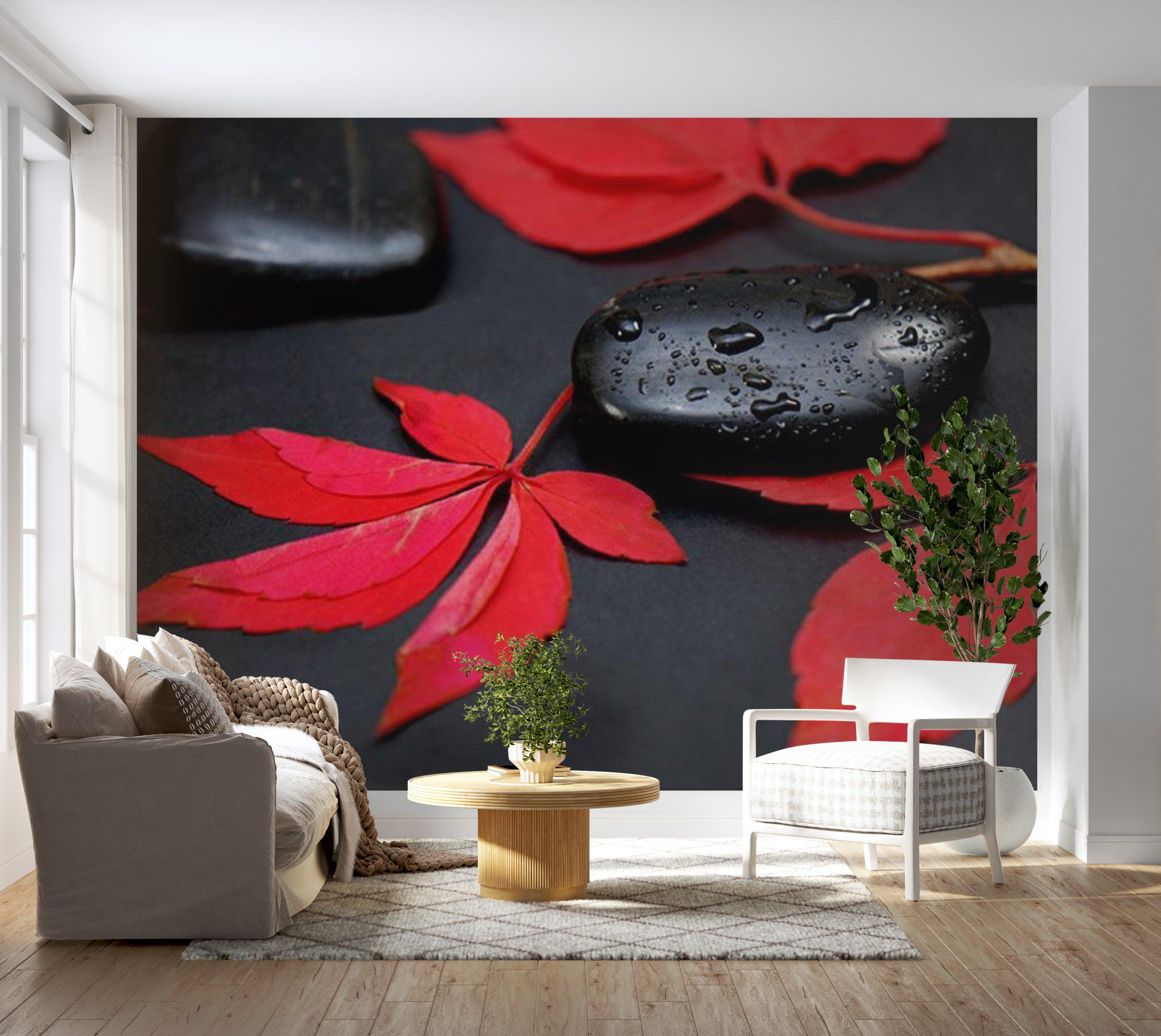 Zen Wallpaper Wall Mural - Intensity Of Red