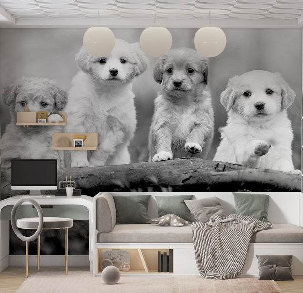 Animal Wallpaper Wall Mural - Four Puppies 39"Wx27"H / Standard