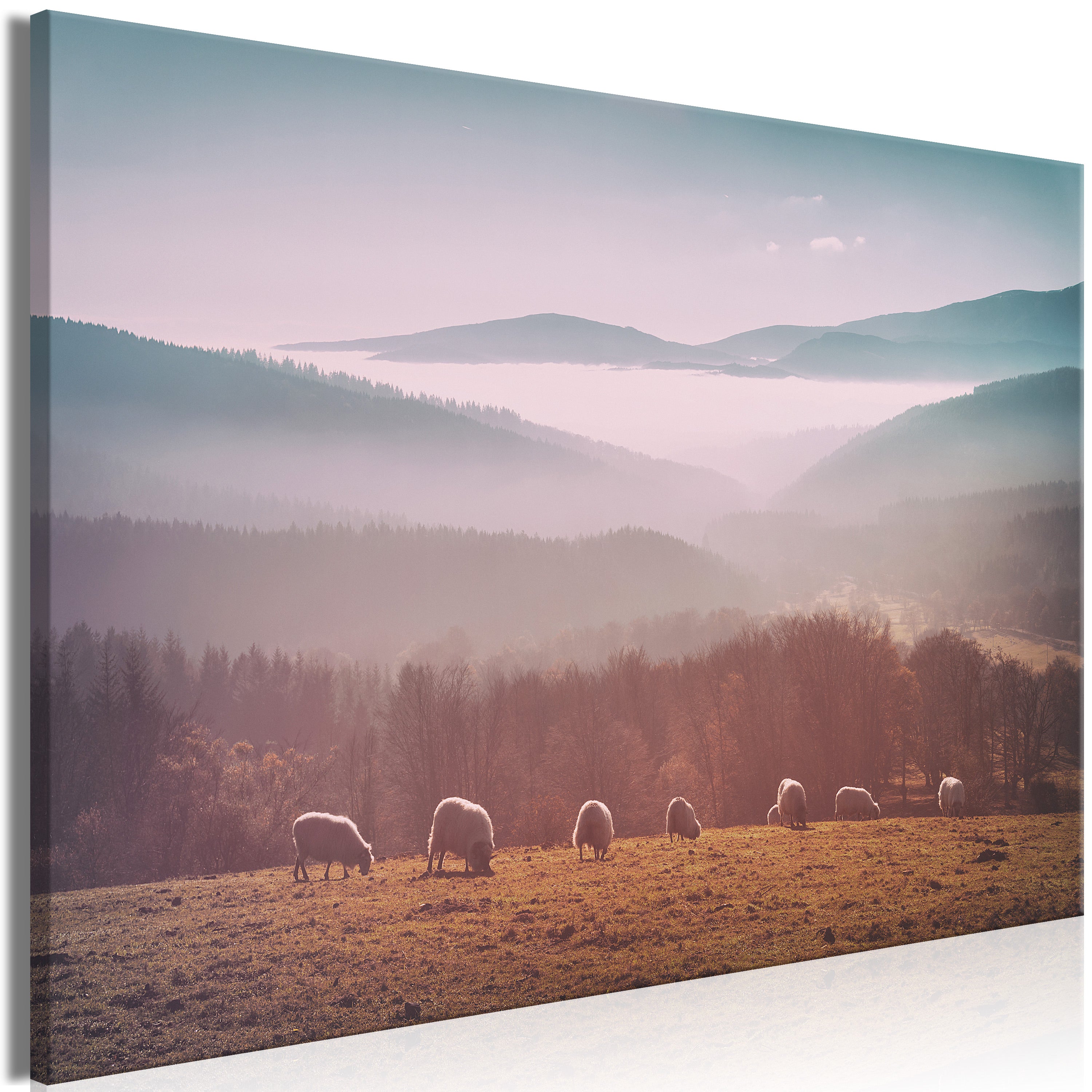 Landscape Canvas Wall Art - Sheep Grazing Grass