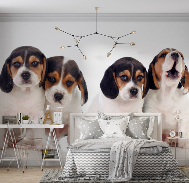 Animal Wallpaper Wall Mural - Sad Puppies 39"Wx27"H / Standard