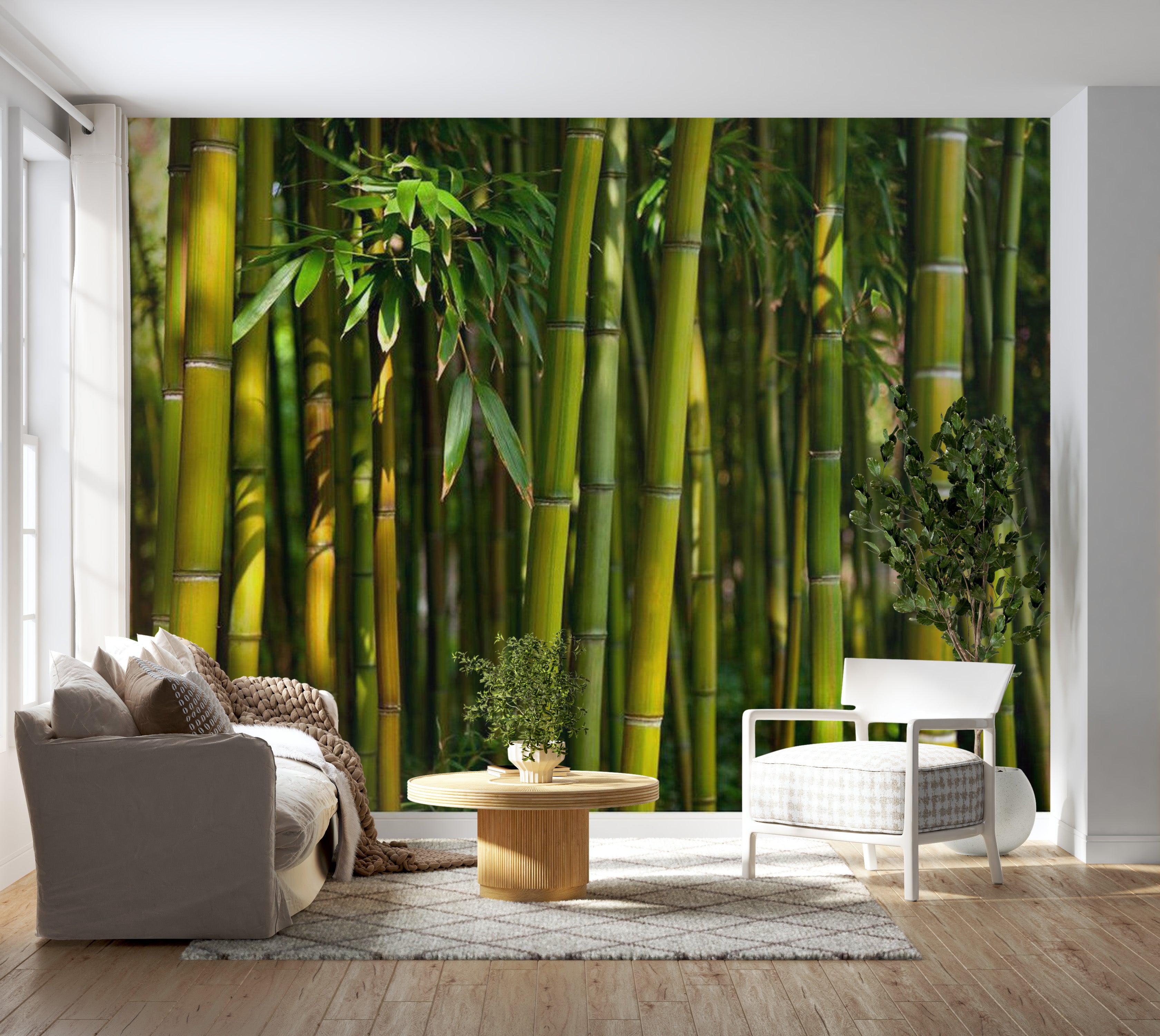 Zen Wallpaper Wall Mural - Asian Bamboo Forest