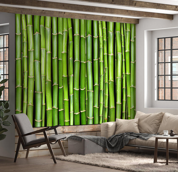 Zen Wallpaper Wall Mural - Bamboo Wall
