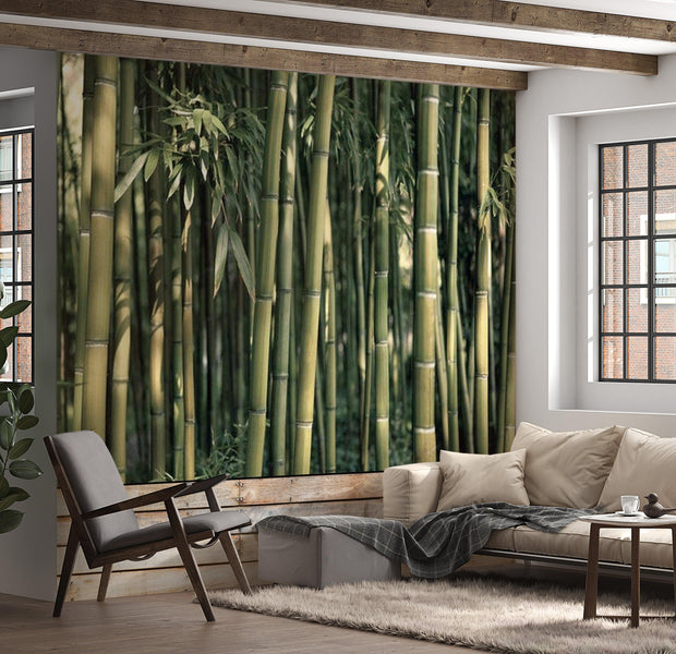 Zen Wallpaper Wall Mural - Bamboo Exotic