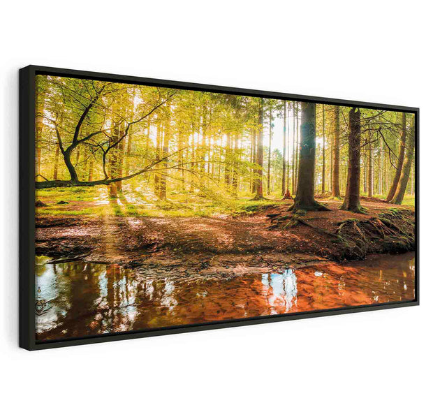 Floating Framed Canvas Art - Autum Forrest