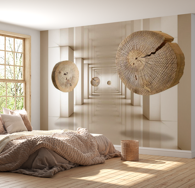 3D Illusion Wallpaper Wall Mural - Flying Discs Of Wood 39"Wx27"H