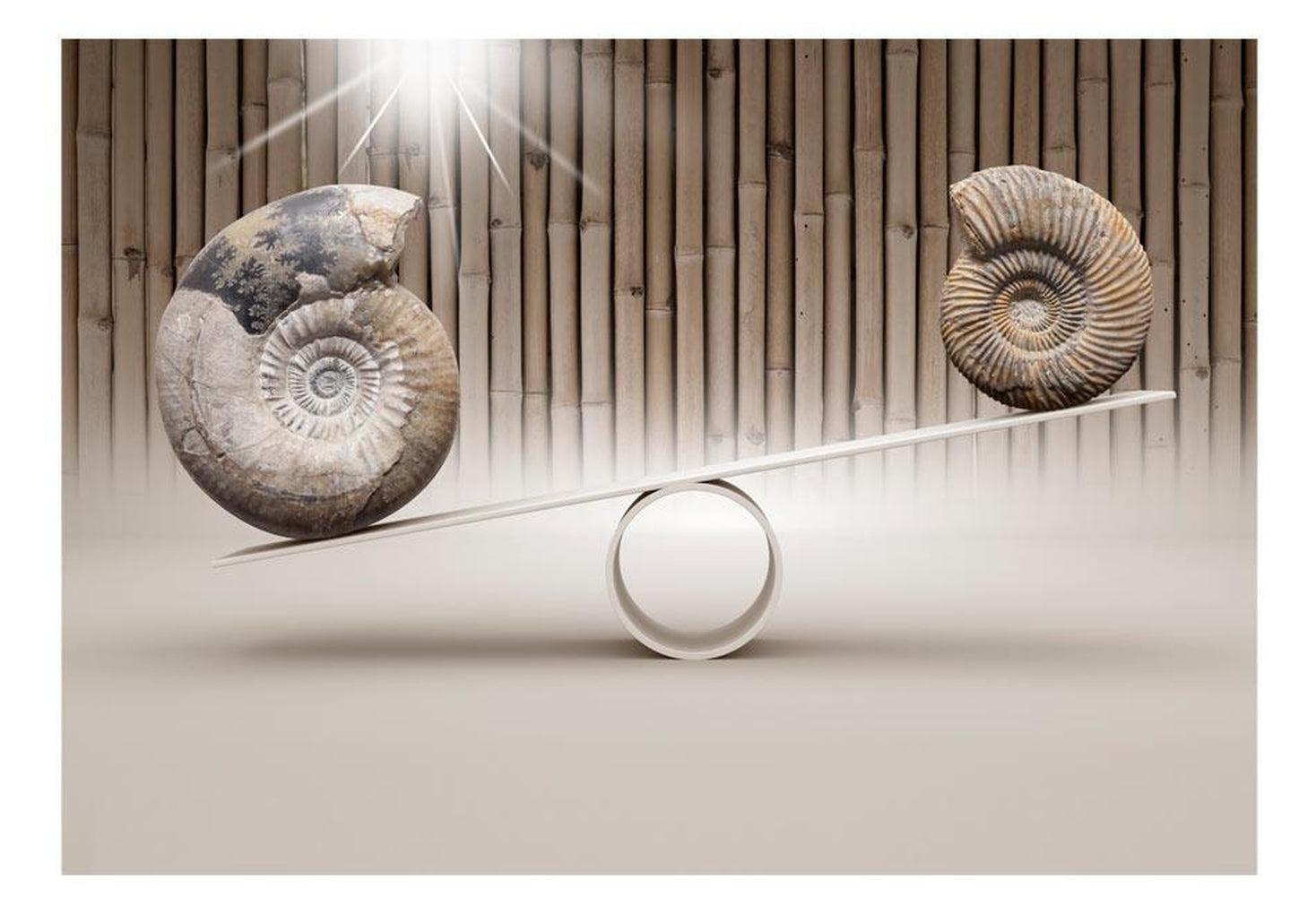 3D Illusion Wallpaper Wall Mural - Fun With Fossils