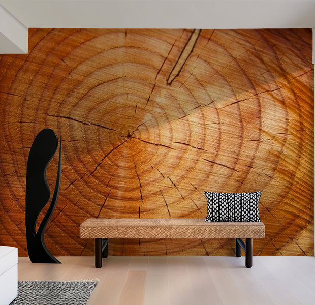 Background & Patterns Wallpaper Wall Mural - Big Tree Slab 118"Wx90"H