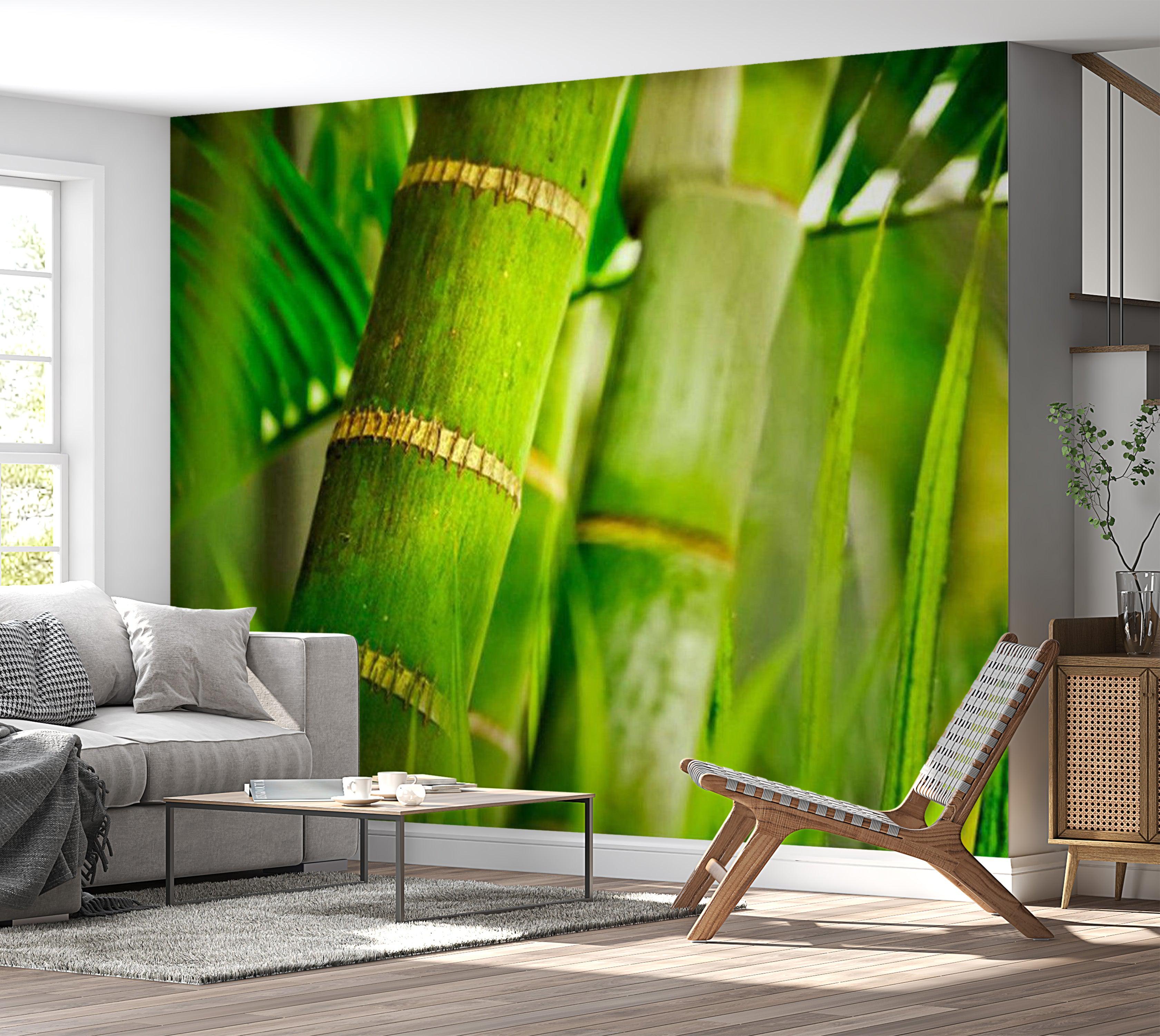 Zen Wallpaper Wall Mural - Bamboo Detail