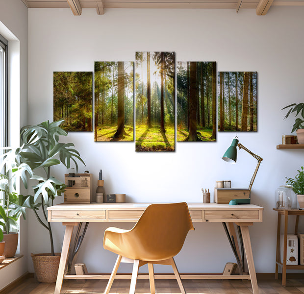 Stretched Canvas Landscape Art - Morning Awakening 40"Wx20"H