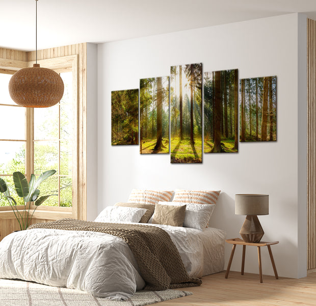 Stretched Canvas Landscape Art - Morning Awakening 40"Wx20"H