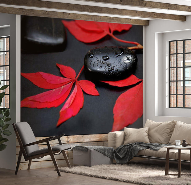 Zen Wallpaper Wall Mural - Intensity Of Red