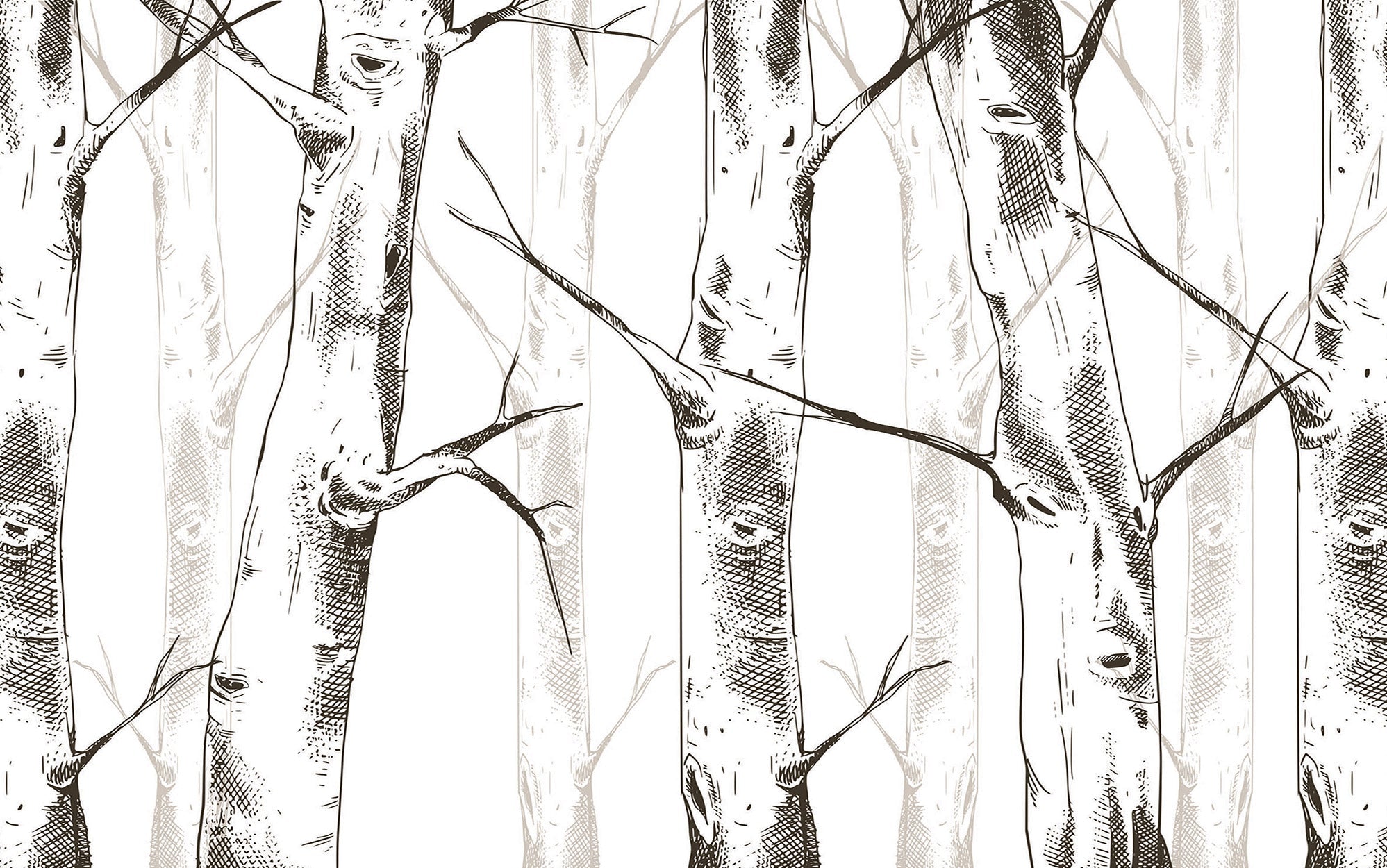 Black and white sketch of tree trunks on a wall mural creating a forest-like appearance in an interior setting