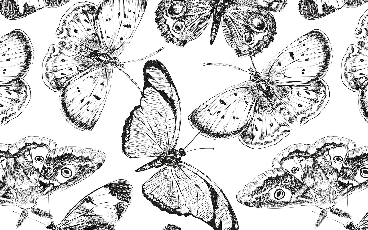 A black and white sketched butterfly mural on a wall interior