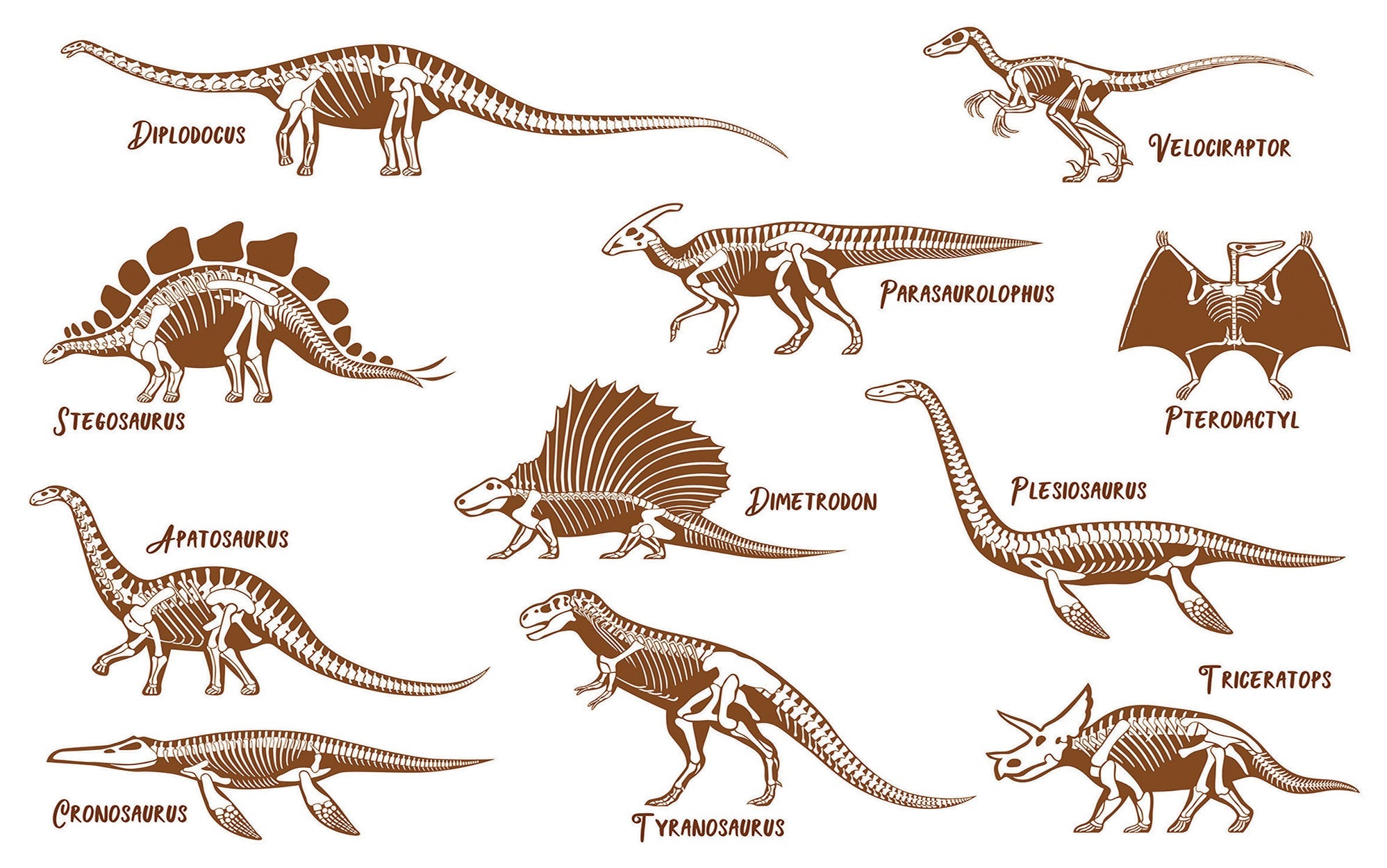 A series of detailed dinosaur illustrations depicted in a brown monochrome style