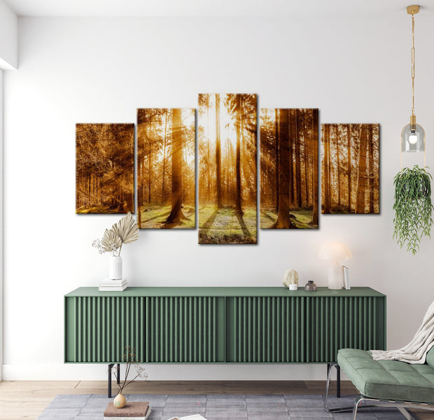 Stretched Canvas Landscape Art - Forest Illumination 40"Wx20"H