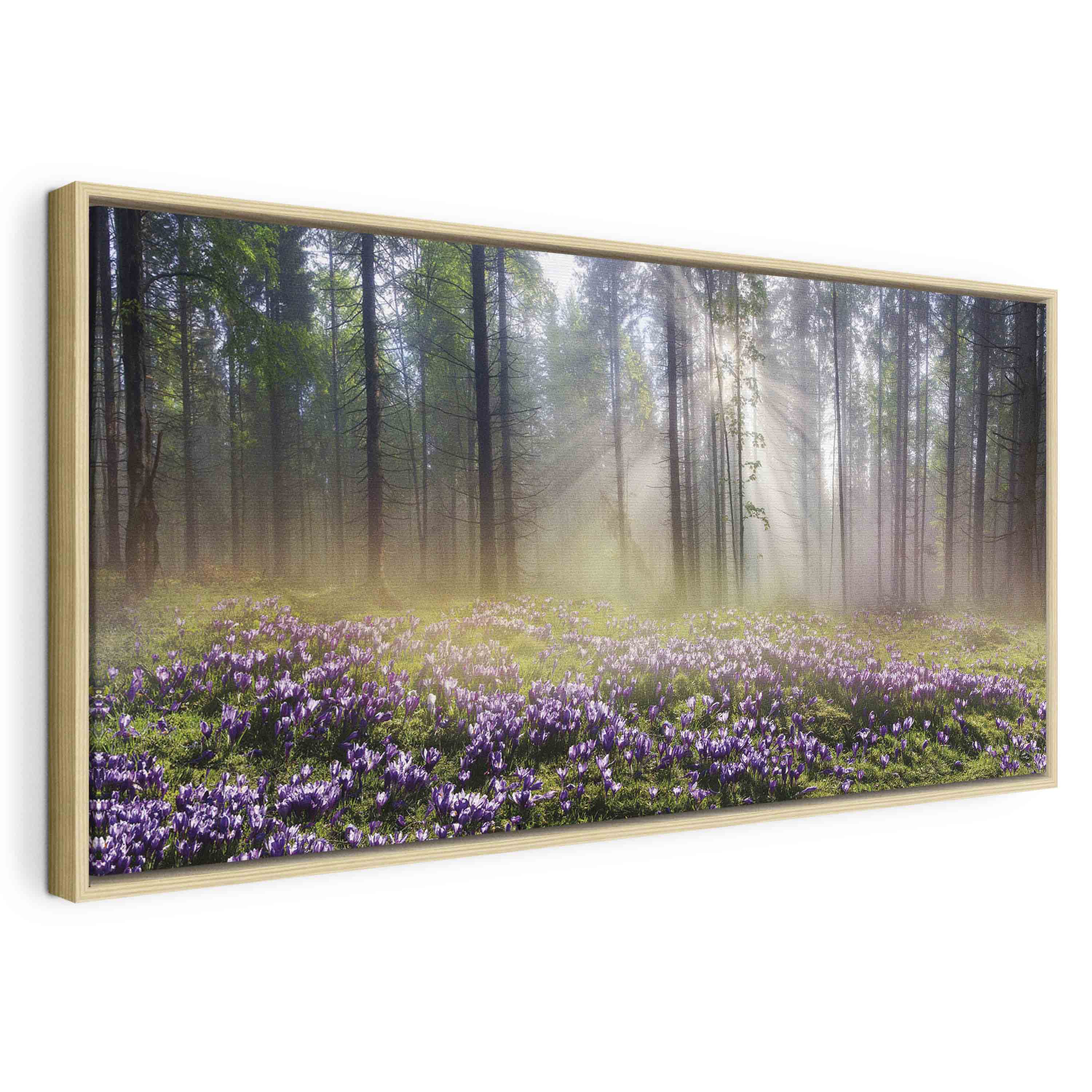 Floating Framed Canvas Art - Purple Meadow