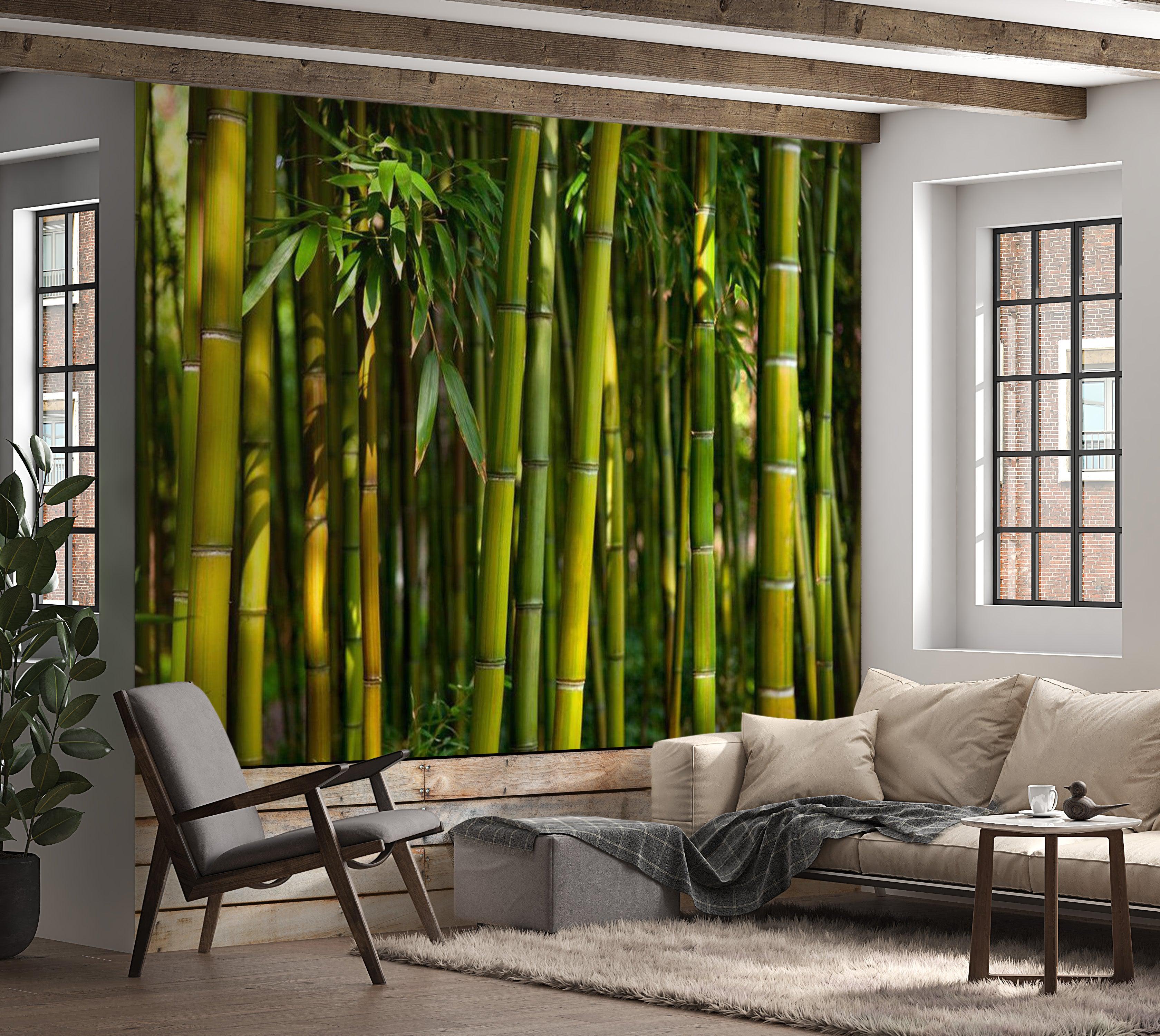 Zen Wallpaper Wall Mural - Asian Bamboo Forest