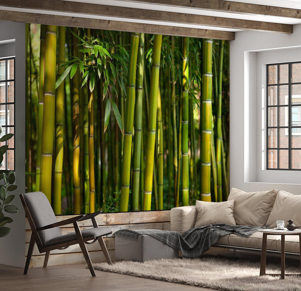 Zen Wallpaper Wall Mural - Asian Bamboo Forest
