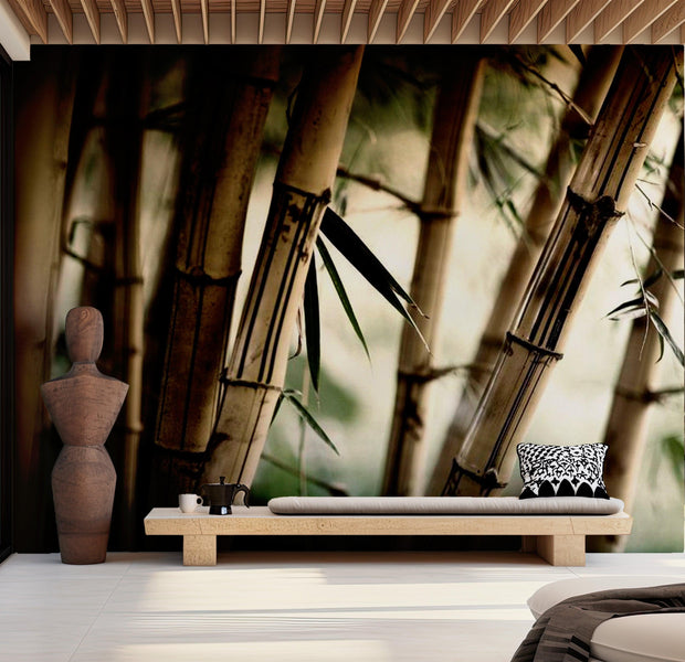 Zen Wallpaper Wall Mural - Fog And Bamboo Forest