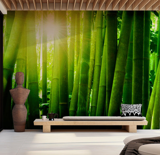 Zen Wallpaper Wall Mural - Sun And Bamboo