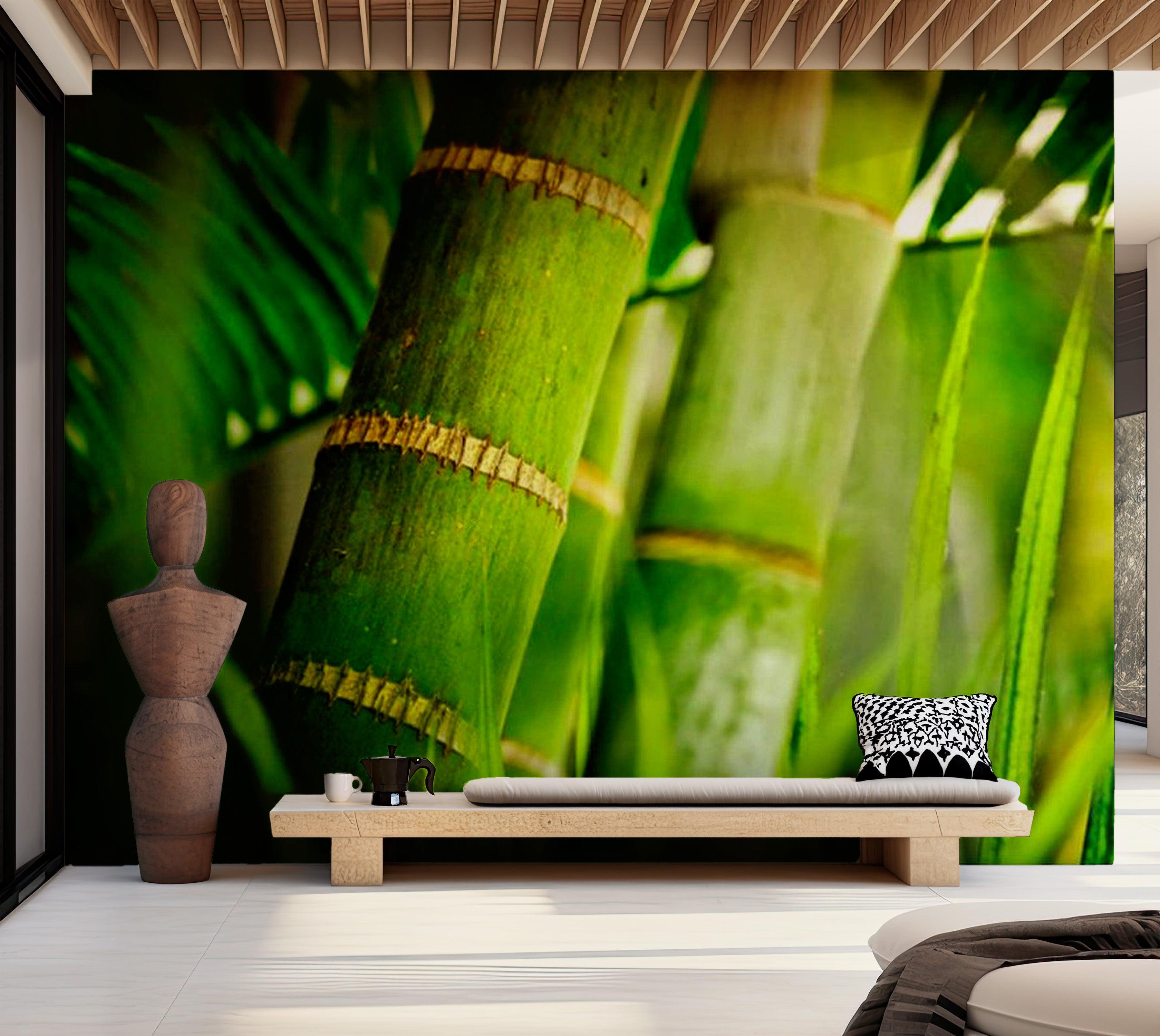 Zen Wallpaper Wall Mural - Bamboo Detail