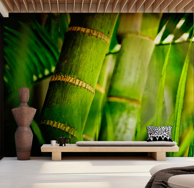 Zen Wallpaper Wall Mural - Bamboo Detail