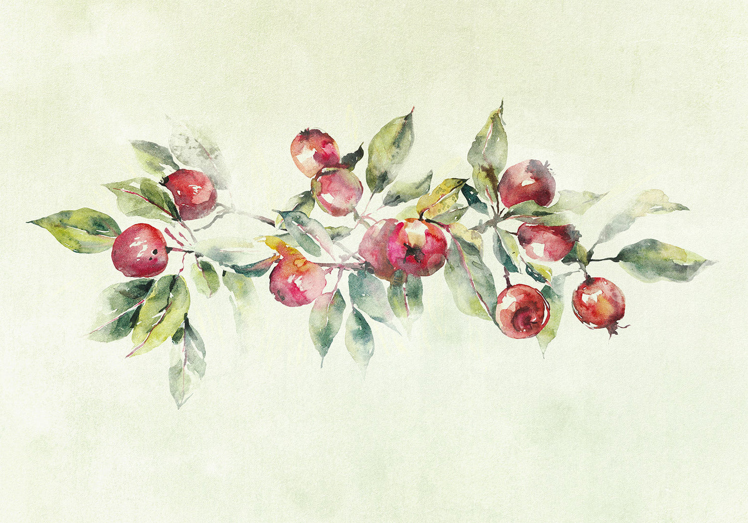 Peel & Stick Botanical Wall Mural - Watercolor Apple Branch - Removable Wallpaper