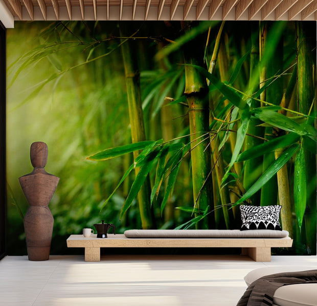 Zen Wallpaper Wall Mural - Green Jungle Bamboo